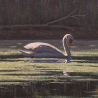 artist bruce dumas acrylic painting swans