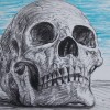 artist rick schaefer drawing skull