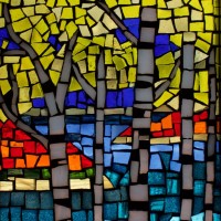 Sandra Forrest Trees Stained Glass